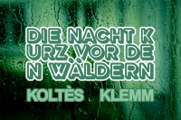 DIE NACHT KURZ VOR DEN WÄLDERN